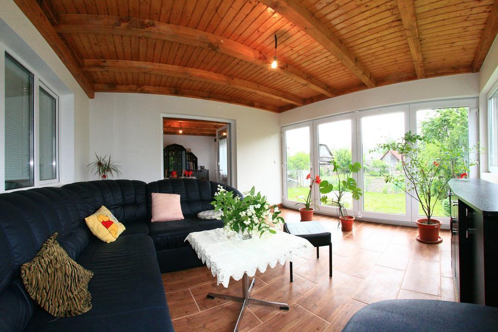 Busta House 호텔 Bogdan Vodă 외부 사진