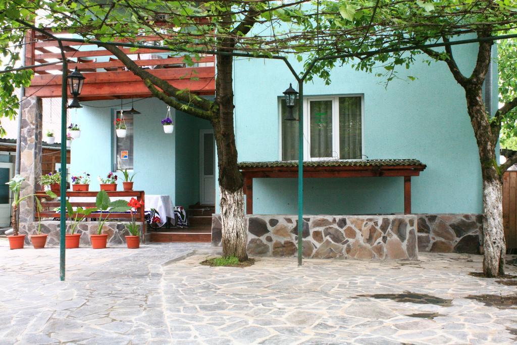 Busta House 호텔 Bogdan Vodă 외부 사진