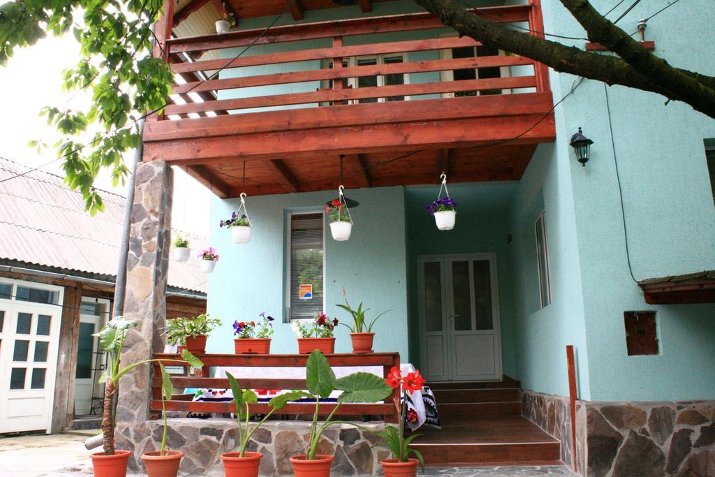 Busta House 호텔 Bogdan Vodă 외부 사진