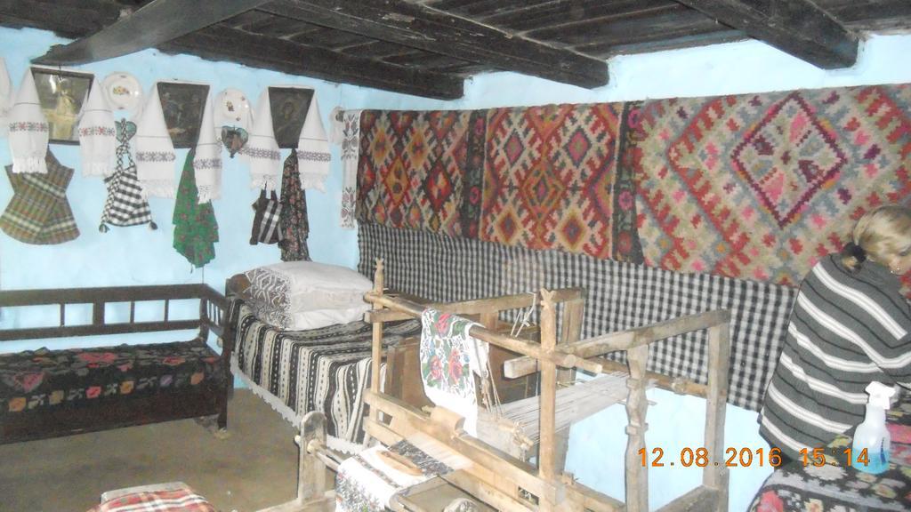 Busta House 호텔 Bogdan Vodă 외부 사진